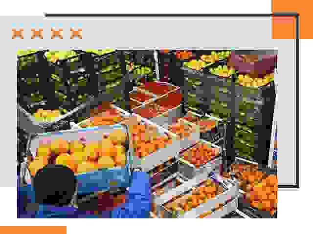 Перевозка скоропортящихся продуктов в Озерске